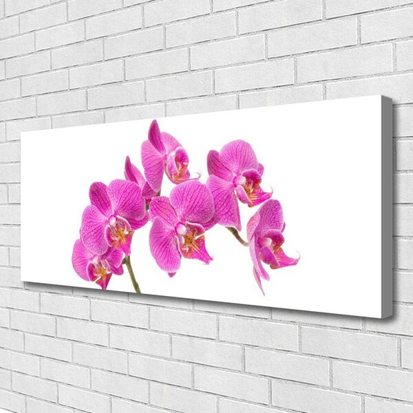 Tablou pe panza canvas Flori roz Floral