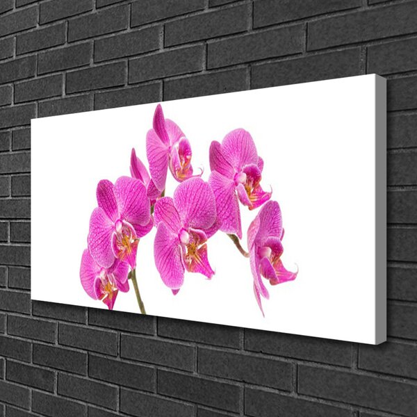 Tablou pe panza canvas Flori roz Floral