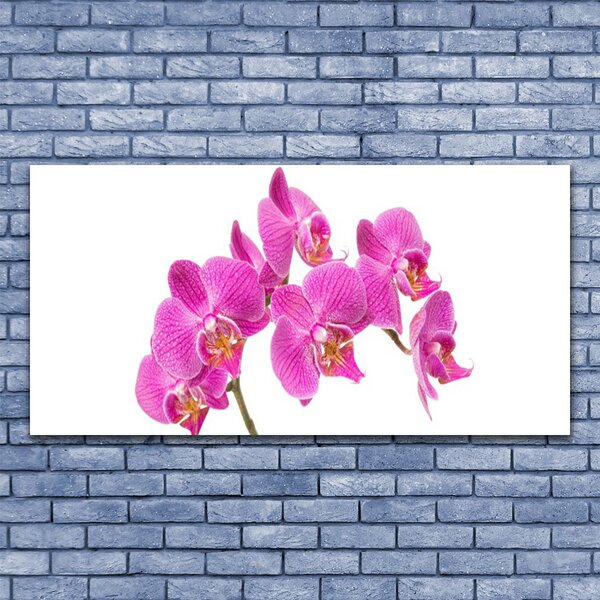 Tablou pe panza canvas Flori roz Floral