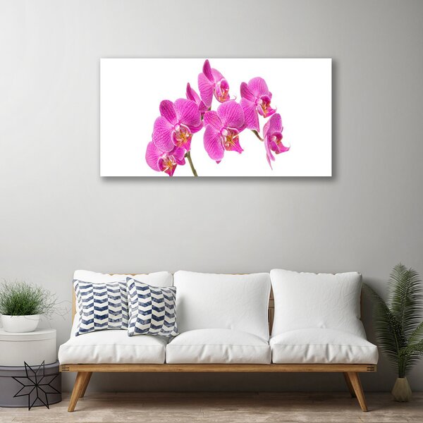 Tablou pe panza canvas Flori roz Floral