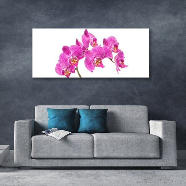 Tablou pe panza canvas Flori roz Floral