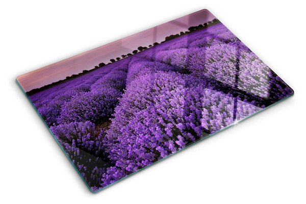 Tocător din sticlă Un câmp de lavandă în plină floare