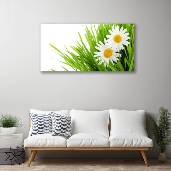 Tablou pe panza canvas Iarbă Margarete Floral Verde Galben Alb