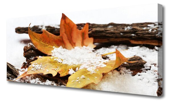 Tablou pe panza canvas Leaf Floral Brown