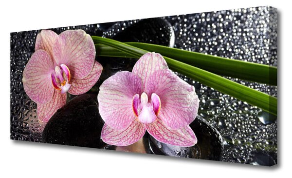 Tablou pe panza canvas Flori Floral Verde Roz