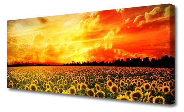 Tablou pe panza canvas Meadow Sunflowers Floral Verde Galben Maro