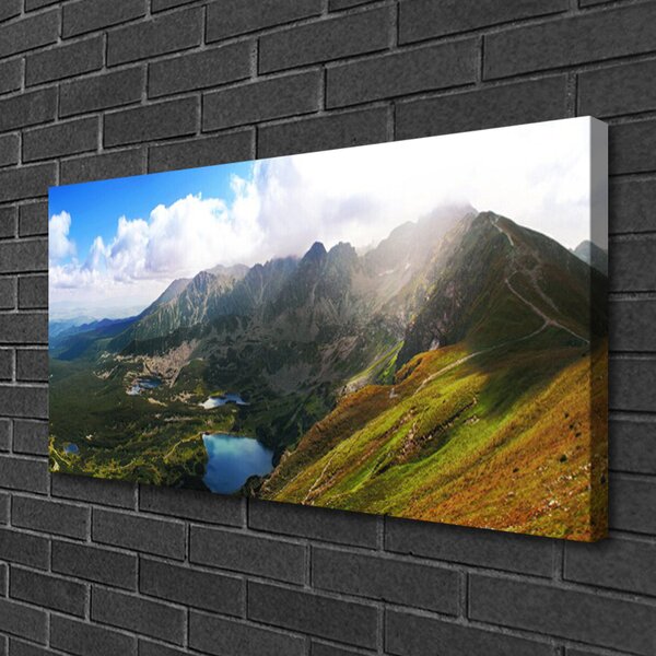 Tablou pe panza canvas Mountain Meadow Peisaj Gri Verde
