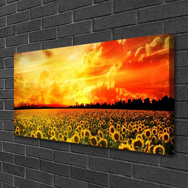Tablou pe panza canvas Meadow Sunflowers Floral Verde Galben Maro