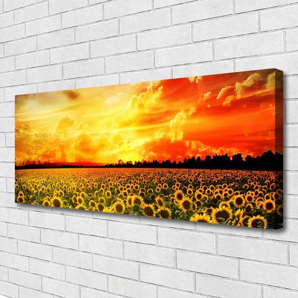 Tablou pe panza canvas Meadow Sunflowers Floral Verde Galben Maro