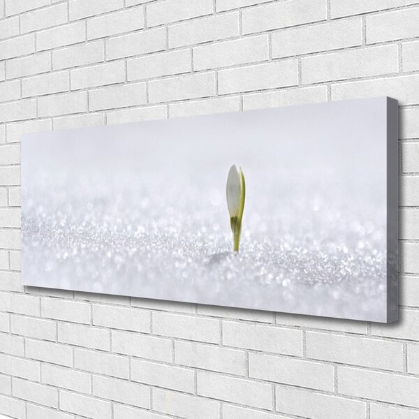Tablou pe panza canvas Flower Floral Verde Alb