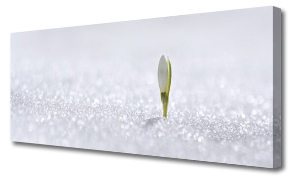 Tablou pe panza canvas Flower Floral Verde Alb