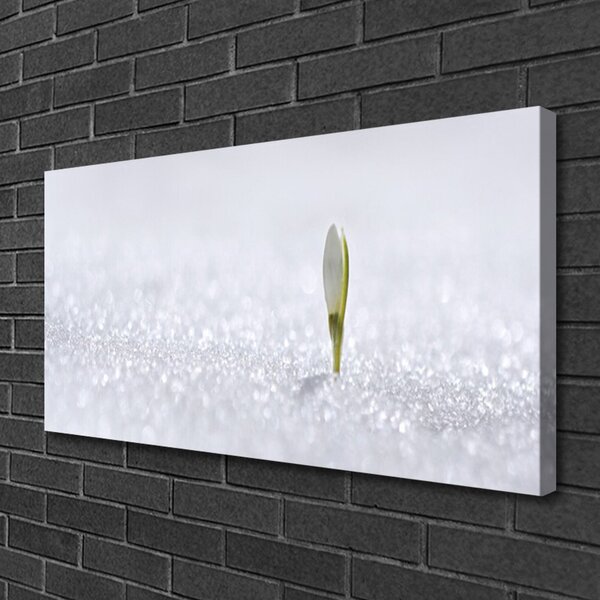 Tablou pe panza canvas Flower Floral Verde Alb