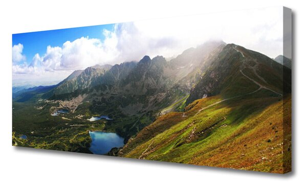Tablou pe panza canvas Mountain Meadow Peisaj Gri Verde