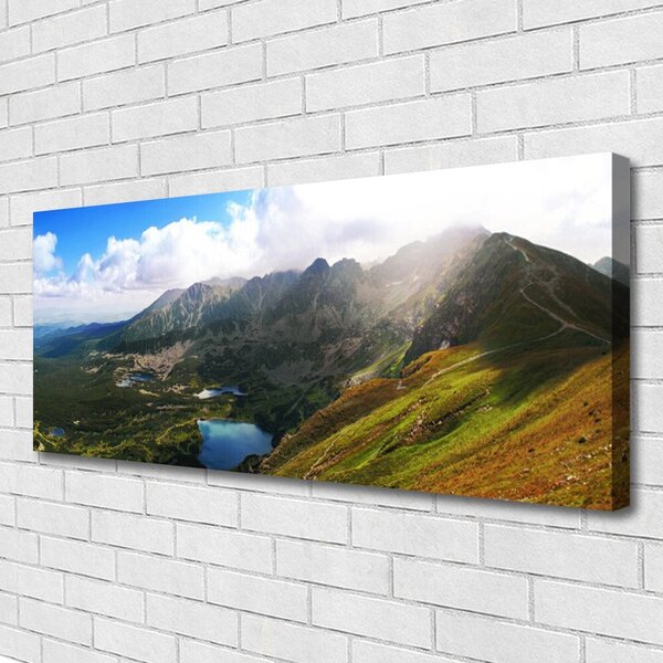 Tablou pe panza canvas Mountain Meadow Peisaj Gri Verde