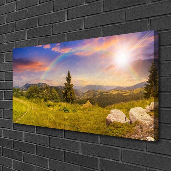 Tablou pe panza canvas Soare Munții Meadow pietre Natura Galben Verde Maro