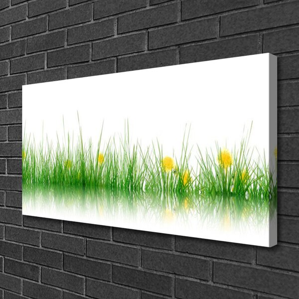 Tablou pe panza canvas Iarbă Natura verde