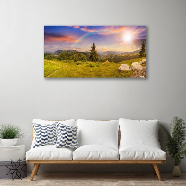 Tablou pe panza canvas Soare Munții Meadow pietre Natura Galben Verde Maro
