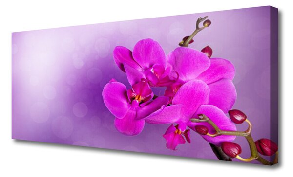 Tablou pe panza canvas Flori roz Floral