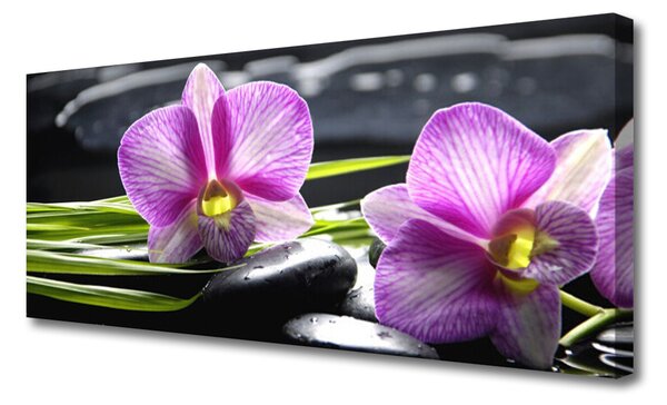 Tablou pe panza canvas Pietrele florale flori roz negru
