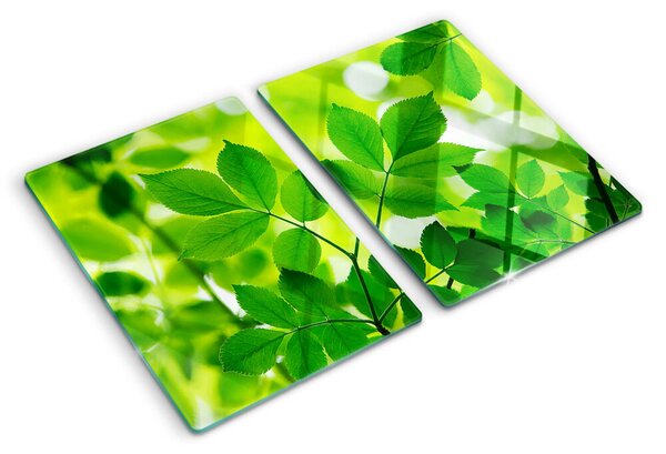 Tocător sticlă Frunze pe un fundal verde