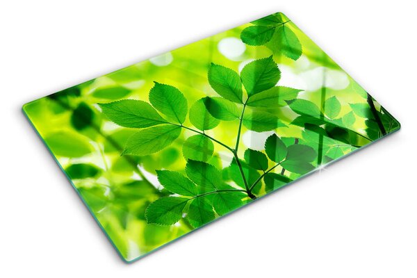 Tocător sticlă Frunze pe un fundal verde