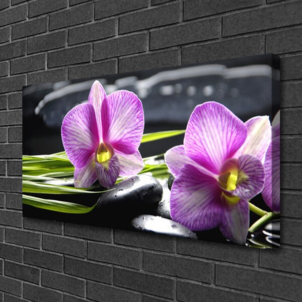 Tablou pe panza canvas Pietrele florale flori roz negru