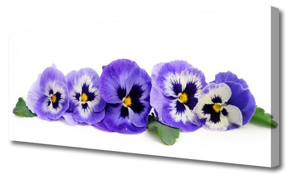 Tablou pe panza canvas Petale Floral Alb Violet Verde