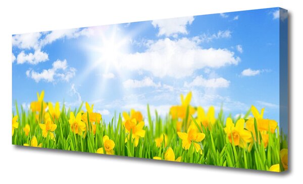 Tablou pe panza canvas Jonquille Sun Floral Verde Galben Alb