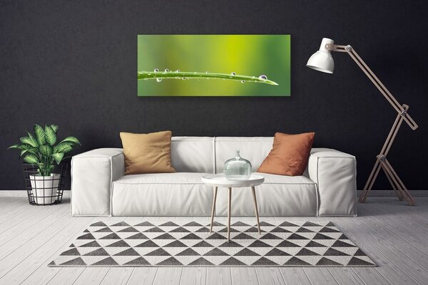 Tablou pe panza canvas Iarbă Picături de rouă Floral Verde