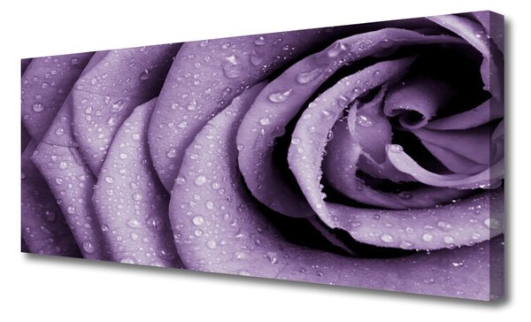 Tablou pe panza canvas Rose Floral violet
