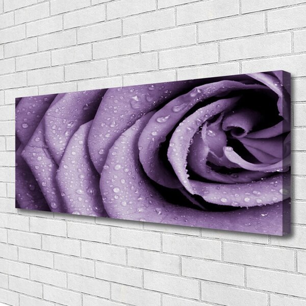 Tablou pe panza canvas Rose Floral violet