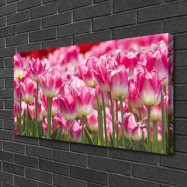 Tablou pe panza canvas Lalele Floral Verde Alb Roșu