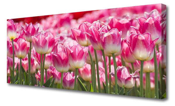 Tablou pe panza canvas Lalele Floral Verde Alb Roșu