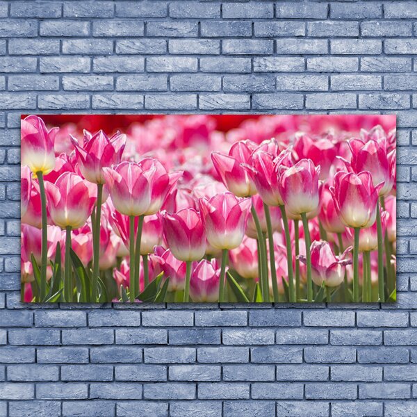 Tablou pe panza canvas Lalele Floral Verde Alb Roșu