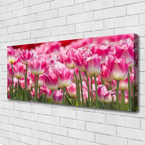 Tablou pe panza canvas Lalele Floral Verde Alb Roșu