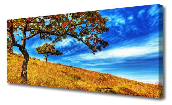 Tablou pe panza canvas Meadow Copaci Natura Galben Maro