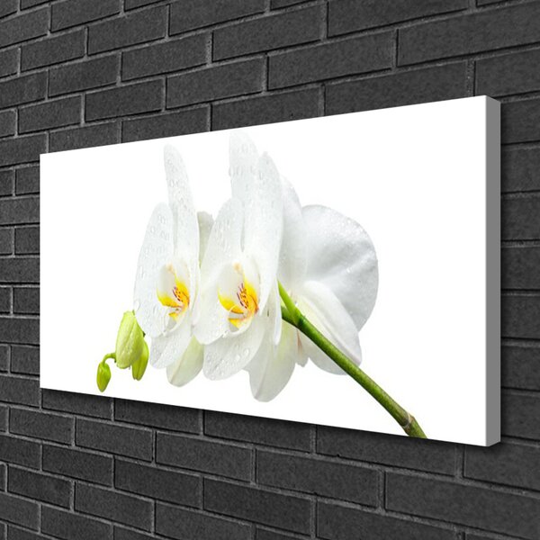 Tablou pe panza canvas Flori Floral alb