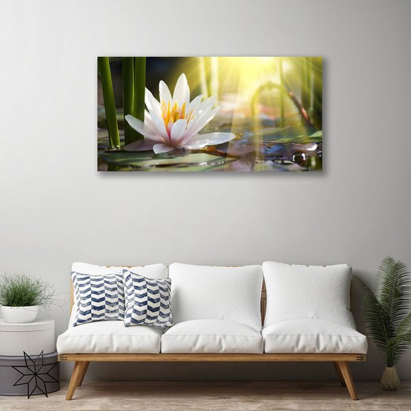 Tablou pe panza canvas Flori de apă Floral Alb Verde