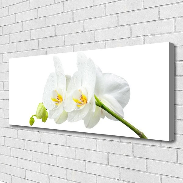 Tablou pe panza canvas Flori Floral alb