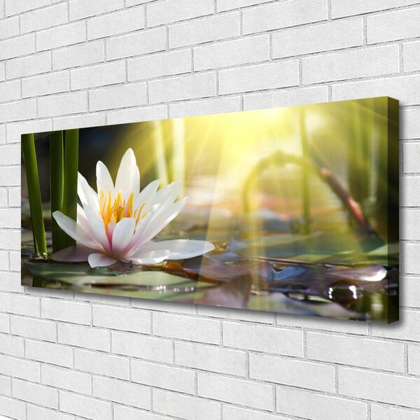 Tablou pe panza canvas Flori de apă Floral Alb Verde