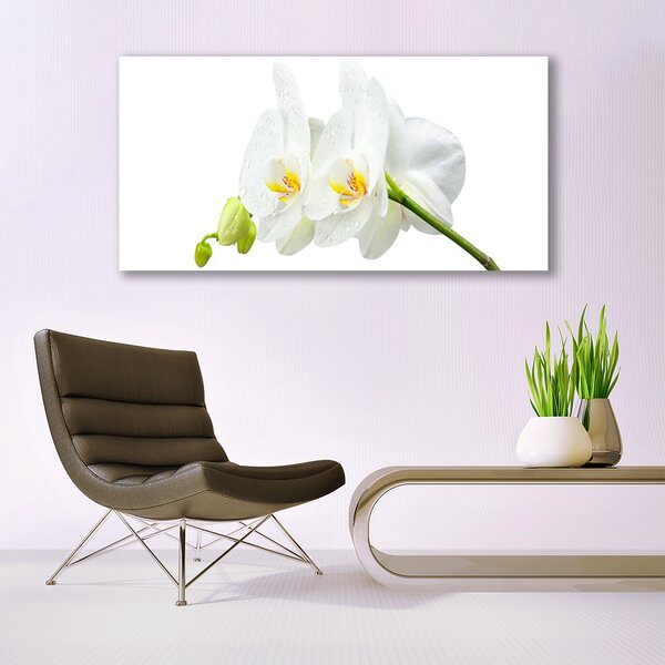 Tablou pe panza canvas Flori Floral alb
