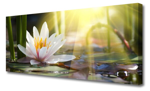 Tablou pe panza canvas Flori de apă Floral Alb Verde