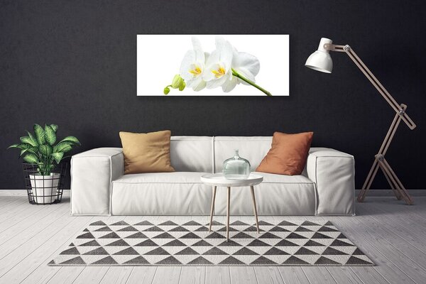 Tablou pe panza canvas Flori Floral alb