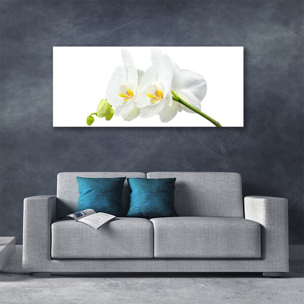 Tablou pe panza canvas Flori Floral alb