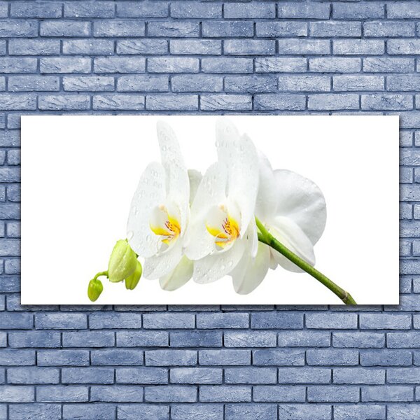 Tablou pe panza canvas Flori Floral alb