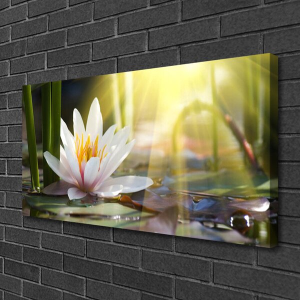 Tablou pe panza canvas Flori de apă Floral Alb Verde