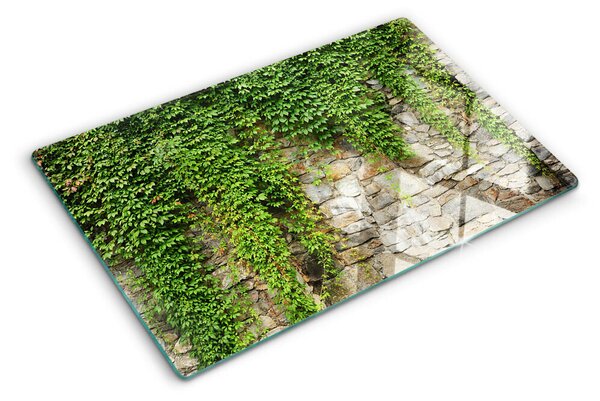 Tocător din sticlă Perete verde cu mușchi