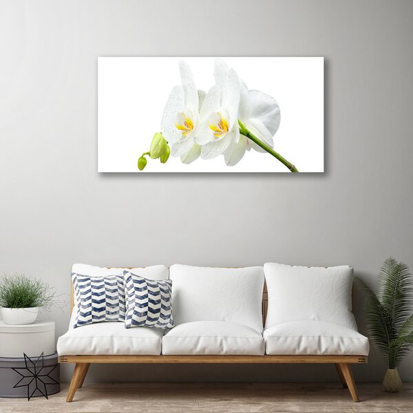 Tablou pe panza canvas Flori Floral alb