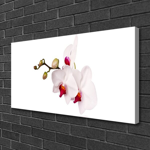 Tablou pe panza canvas Flori Floral Roz Alb