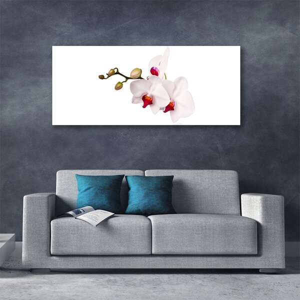 Tablou pe panza canvas Flori Floral Roz Alb